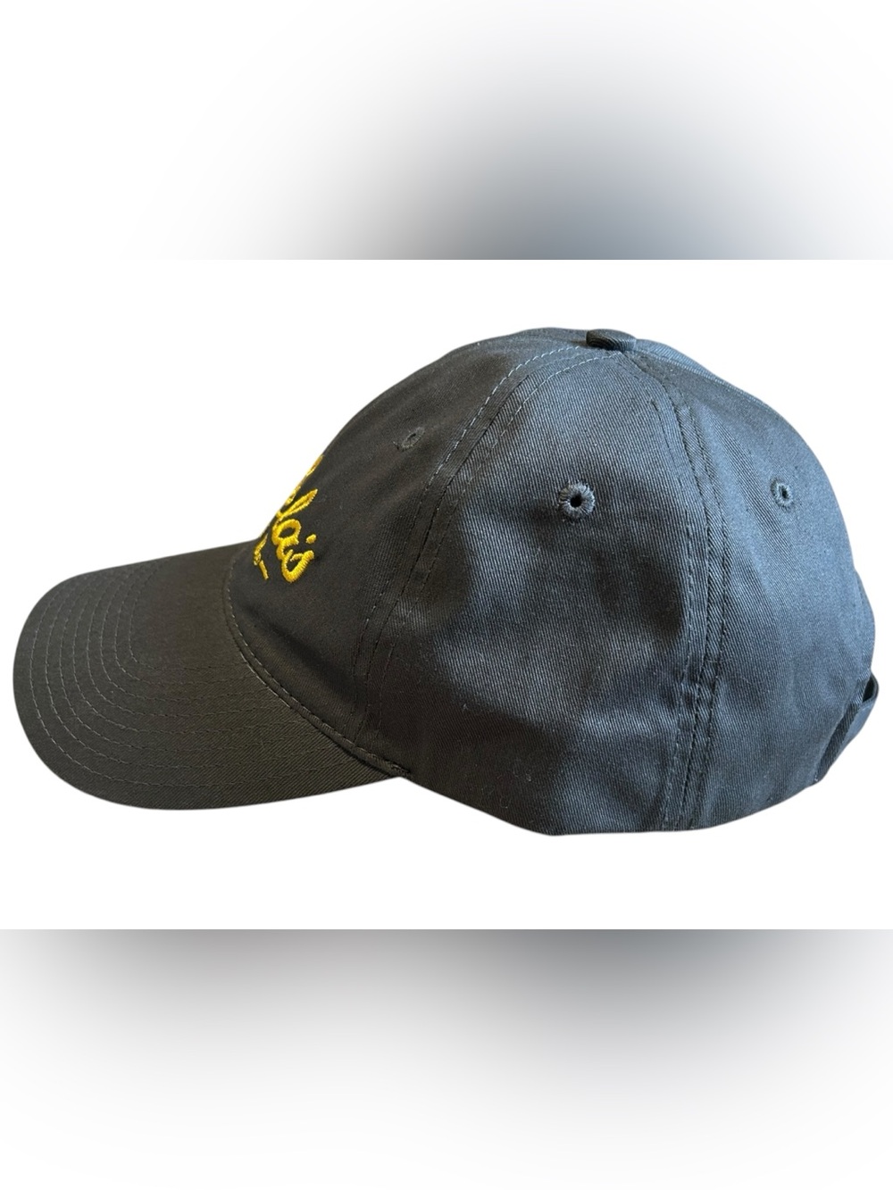 Columbia Pheasants Forever Hat + Cabela’s Club Cap Bundle OSFM - Picture 16 of 16